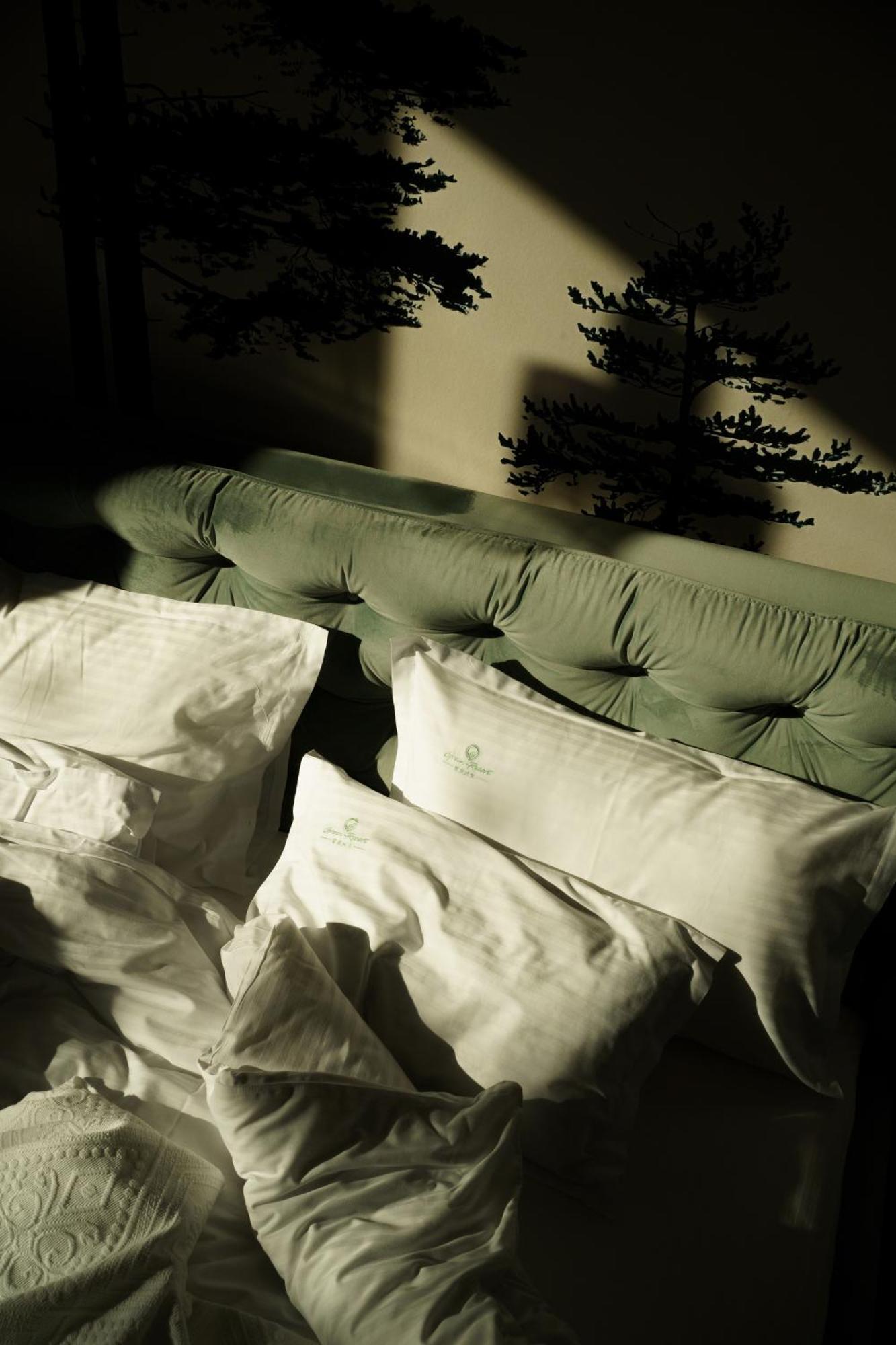 Green Resort Bran ブラン エクステリア 写真